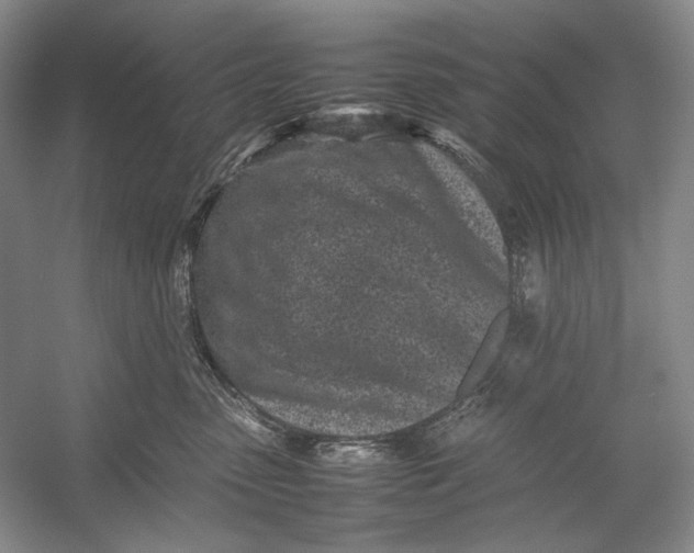 X0000054390475200508191943