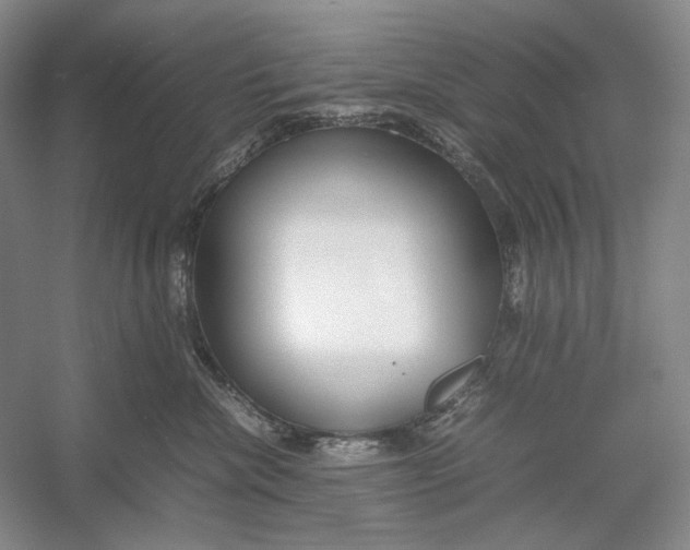 X0000054390476200508191943