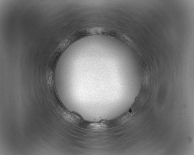 X0000054390477200508191943