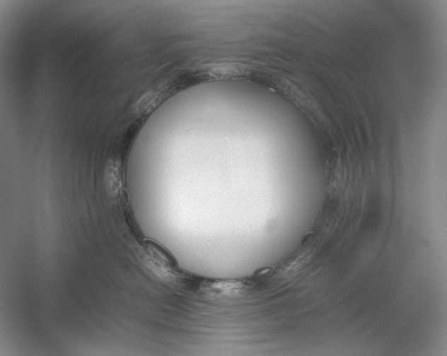X0000054390478200508191943