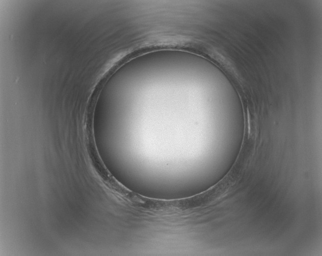 X0000054390483200508191943