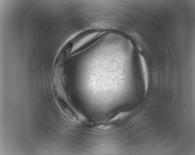 X0000054390488200508191943