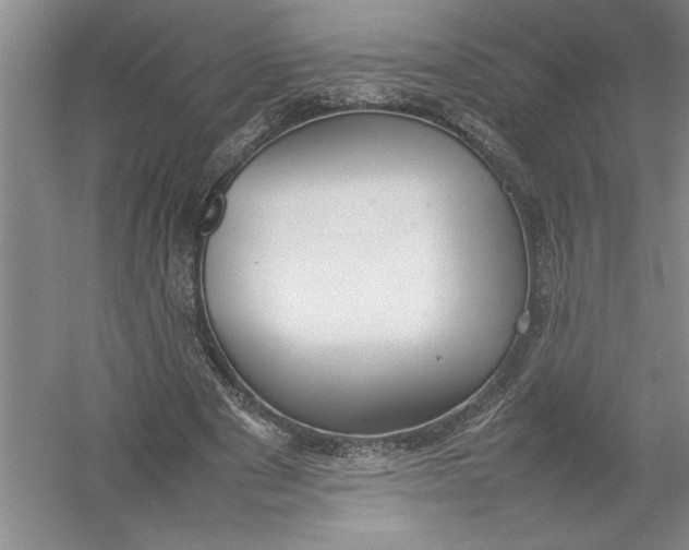 X0000054390489200508191943