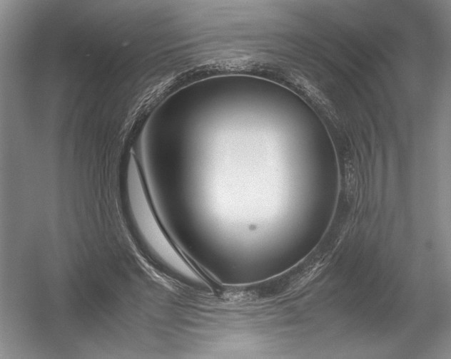 X0000054390493200508191942