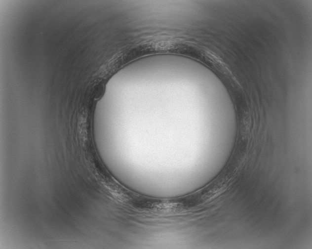X0000054390497200508191942