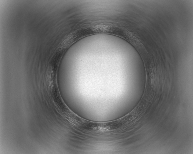 X0000054390498200508191942