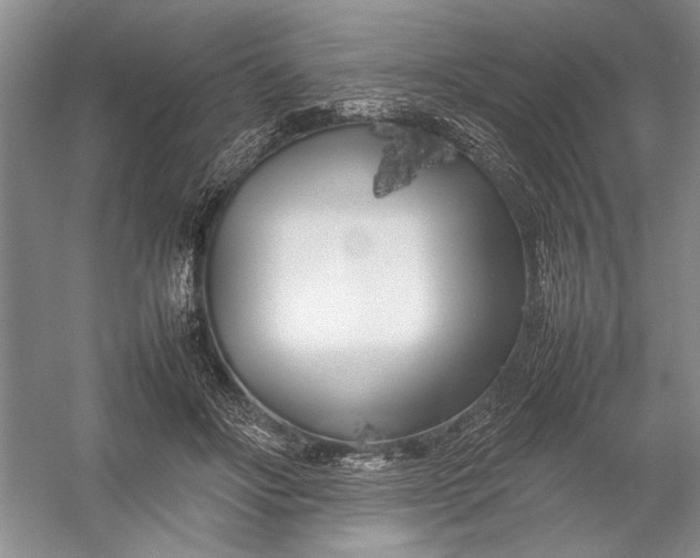 X0000054390502200508191942