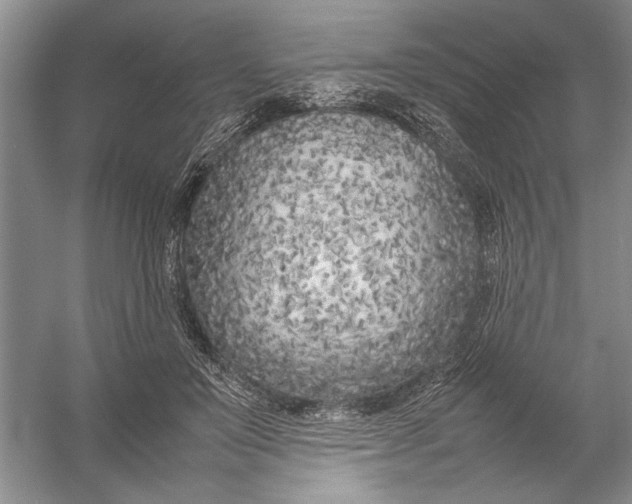 X0000054390503200508191942
