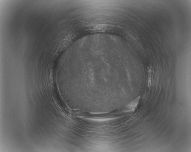 X0000054390504200508191942