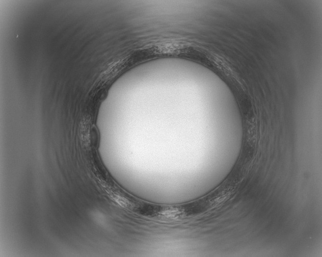 X0000054390505200508191942