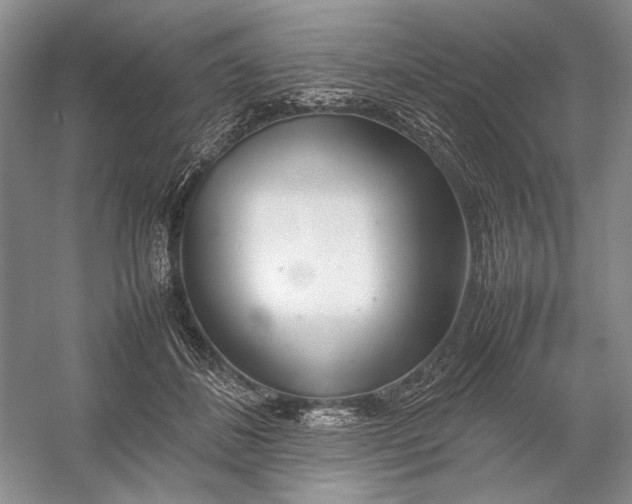 X0000054390508200508191942