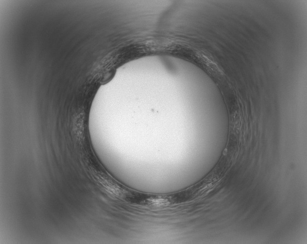 X0000054390509200508191942