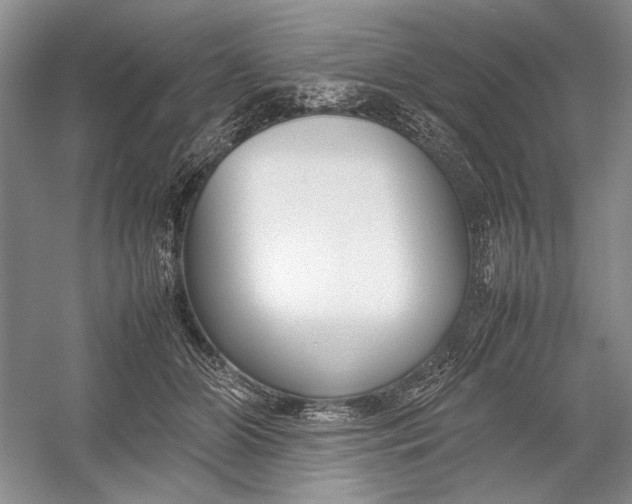 X0000054390510200508191942