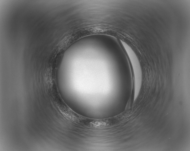 X0000054390512200508191942