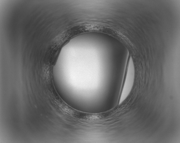 X0000054390513200508191942