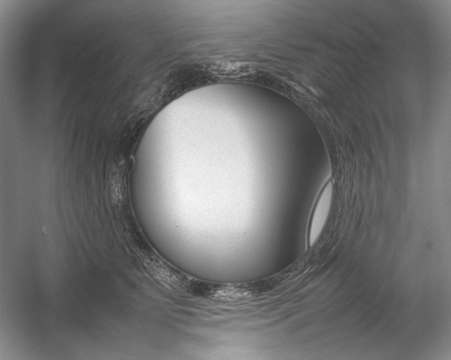 X0000054390515200508191942