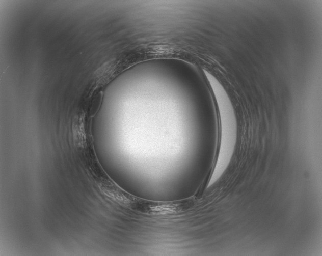 X0000054390516200508191942