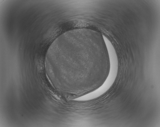 X0000054390517200508191942