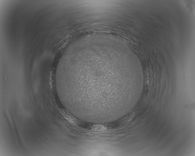 X0000054390519200508191942