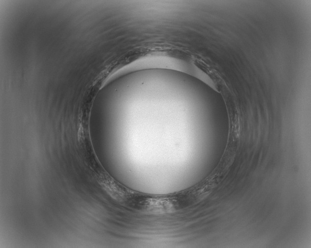 X0000054390520200508191942