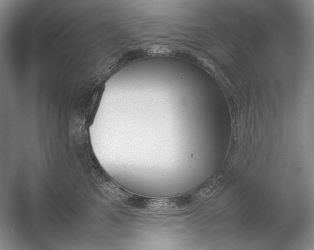 X0000054390521200508191942