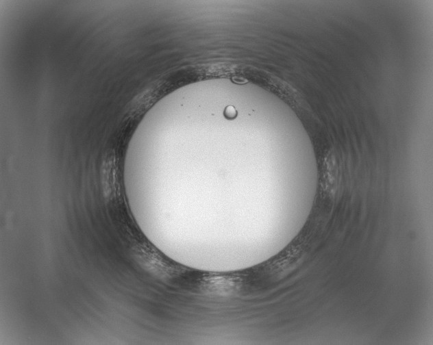 X0000054390522200508191942