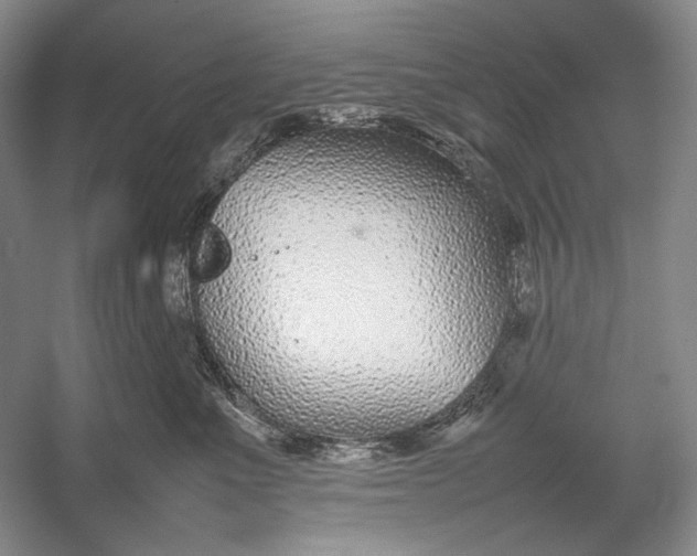 X0000054390523200508191942