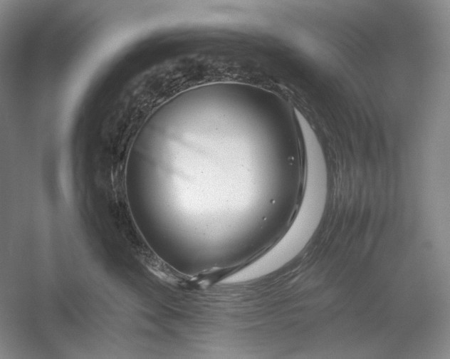 X0000054390524200508191942