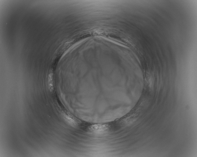 X0000054390526200508191942