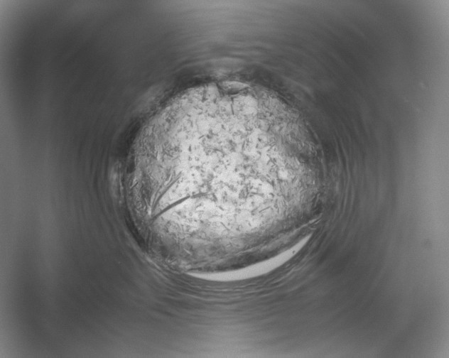X0000054390527200508191942