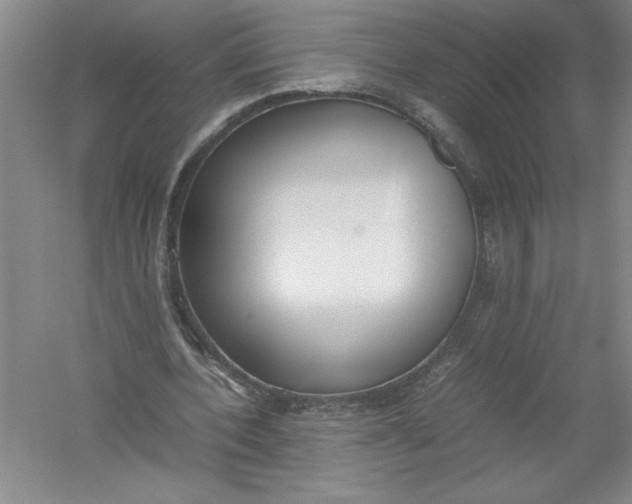 X0000054390532200508191941