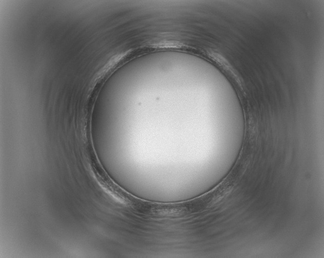 X0000054390533200508191941