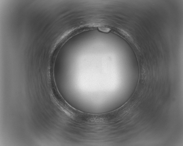 X0000054390535200508191941