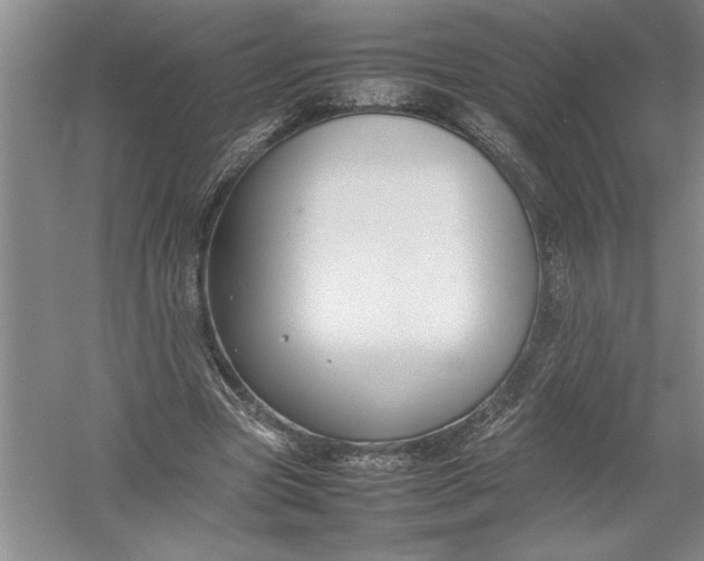 X0000054390537200508191941