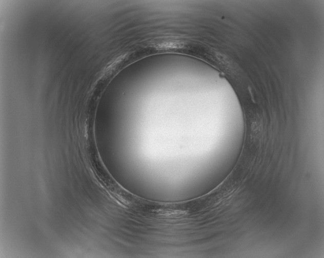 X0000054390539200508191941