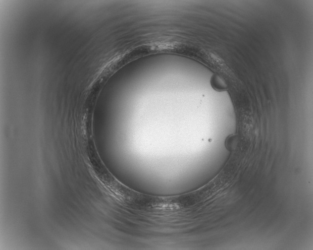 X0000054390543200508191941