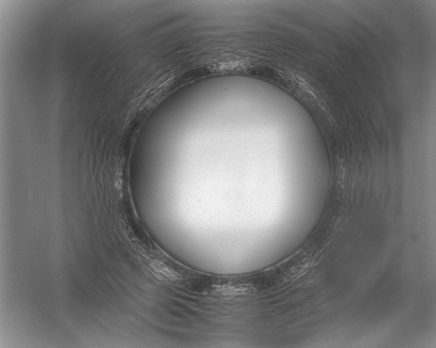X0000054390545200508191941