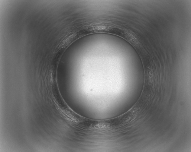 X0000054390546200508191941