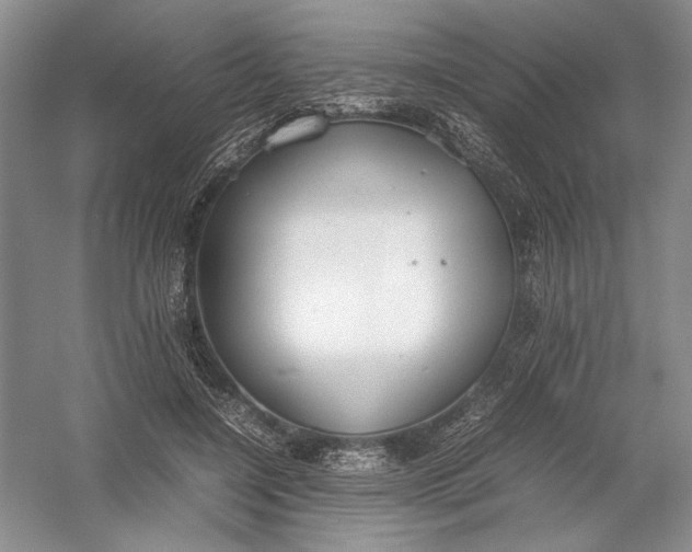 X0000054390548200508191941