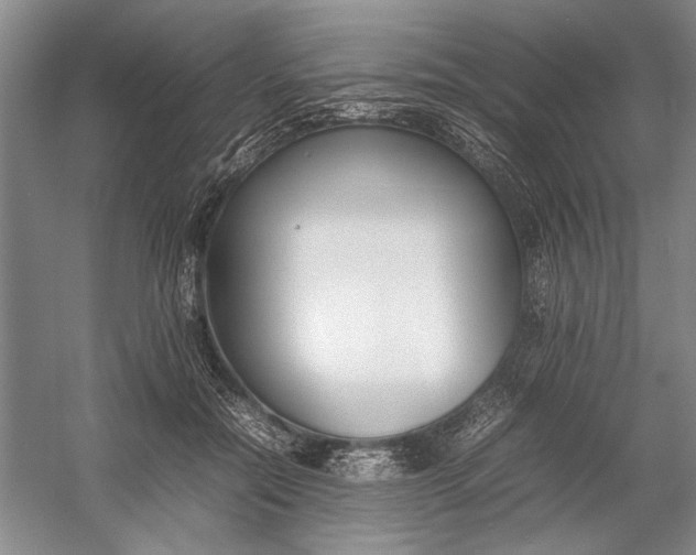 X0000054390554200508191942