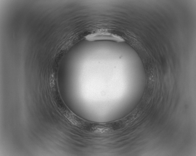 X0000054390555200508191942