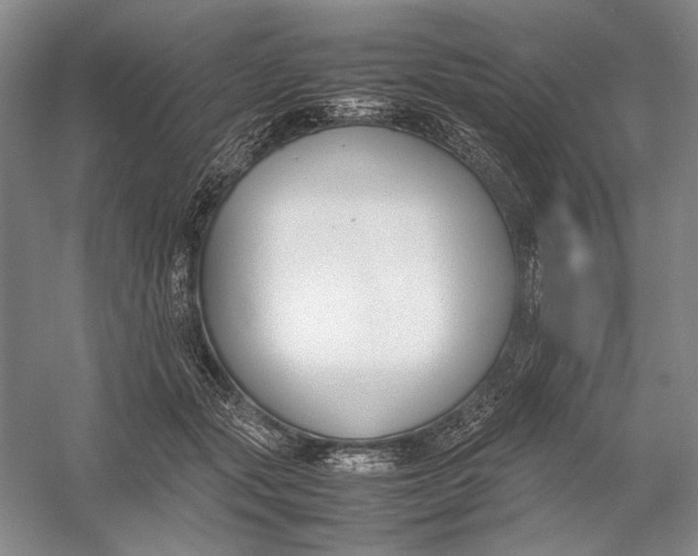 X0000054390557200508191942