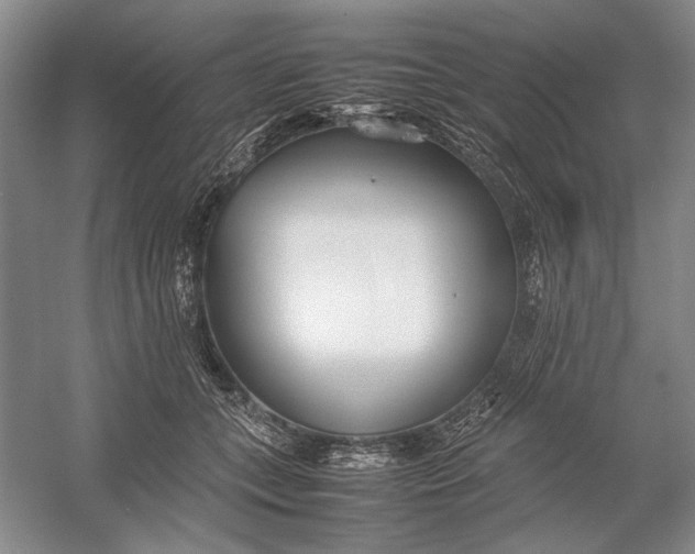 X0000054390559200508191942