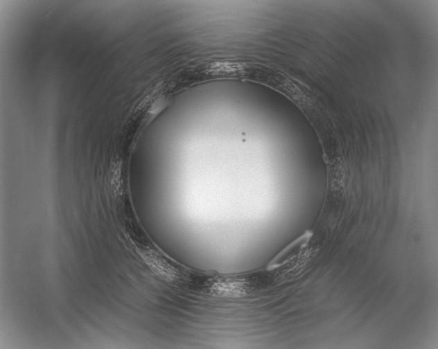 X0000054390560200508191942