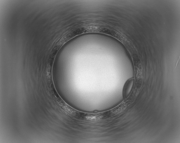 X0000054390561200508191942
