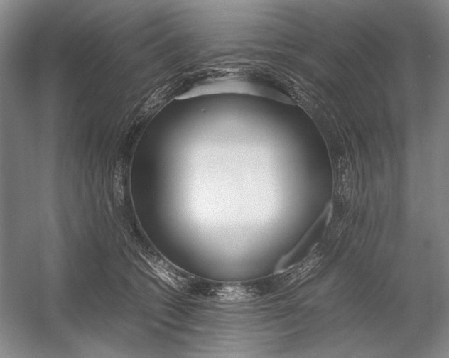 X0000054390562200508191942