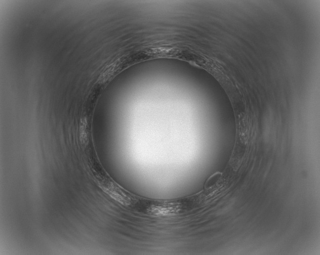 X0000054390563200508191942