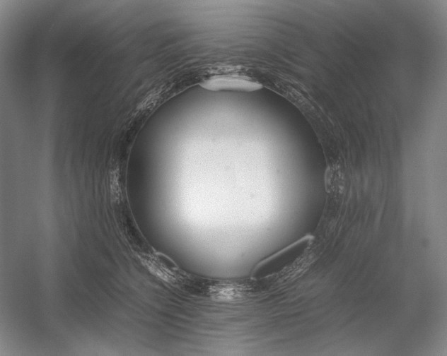 X0000054390564200508191942