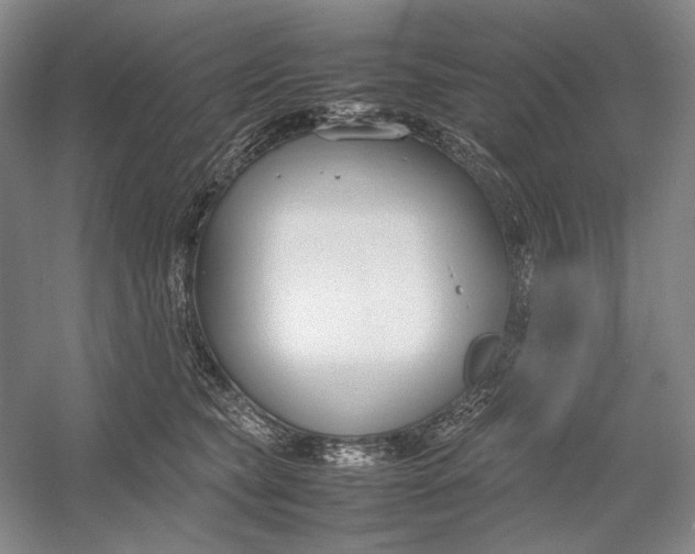 X0000054390565200508191942