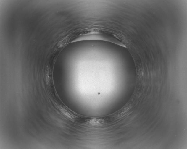 X0000054390566200508191942